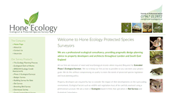 Desktop Screenshot of ecologysurveyor.co.uk
